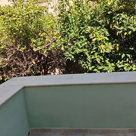 Astrolicamus Боса