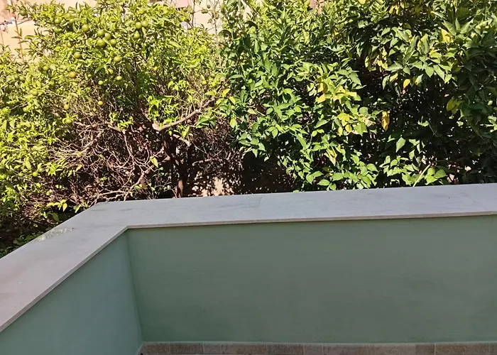 Astrolicamus Боса